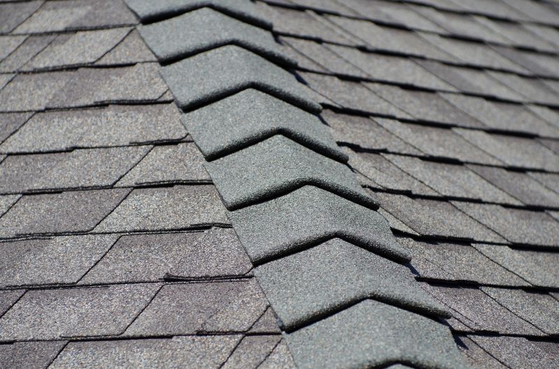Professional Roof Repair