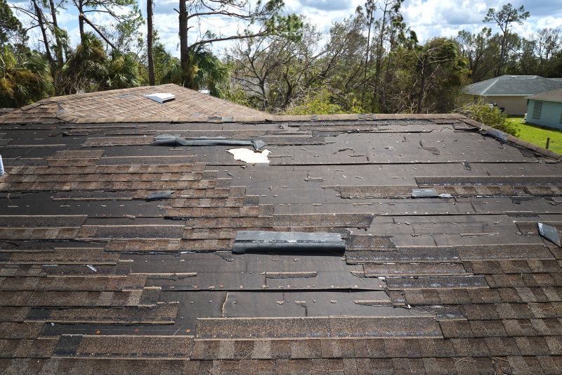 Roof Damage Inspection